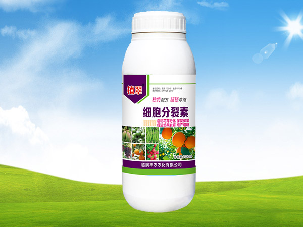 細(xì)胞分裂素